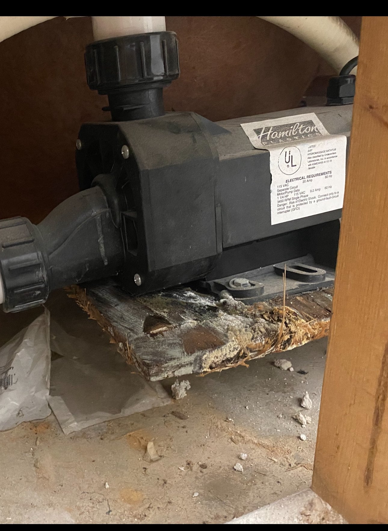 Hamilton bath pump by Balboa Water Group, Whirlpool water pump replacement, 9.2 amps, showing the pump unit and connection ports.